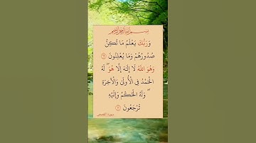 #القران_كريم 🎆#سوره #القصص #اكسبلور 🌸 #استغفر_الله_واتوب_إليه_استغفر_الله_العظيم 🏵