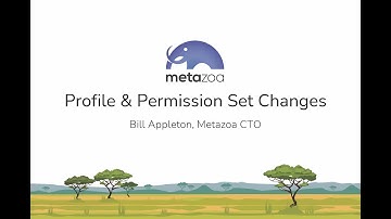 Prepare your Salesforce Org for Upcoming Profile Changes