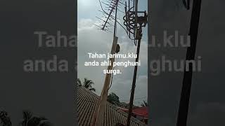 Download Mp3 skip klu anda bukan penghuni surga. Gudang lagu Download Mp3 skip klu anda bukan penghuni surga.