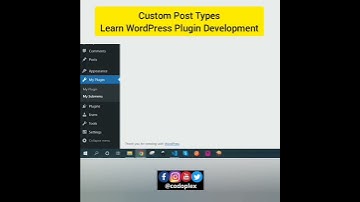 Custom Post Type Options and Parameters