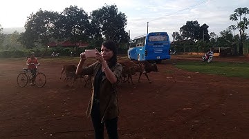 Cồng chiêng Tây Nguyên (huyện Chư Prông, Gia Lai)