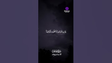 صوت يطمن القلب ويهدي النفس.. استمع لتلاوة مؤثرة من الشيخ عمر قريطنة 💖