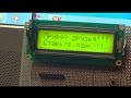 lcd 1602 (HD44780) как писать русский текст (CodeVisionAVR)