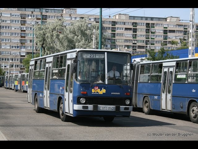 Ikarus Buses in Budapest 🇭🇺  IK 260, 280, 412 & 435🚌[2022] 