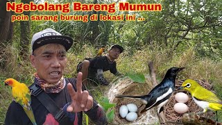 Ngebolang Bareng Mumun Langsung Poin sarang  burung di Lokasi Lama by ACUNK FLOG 23,892 views 1 month ago 13 minutes, 32 seconds