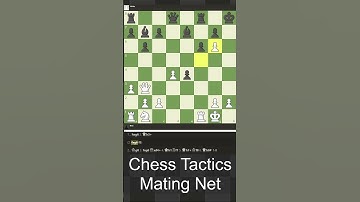 Chess Tactics Mating Net