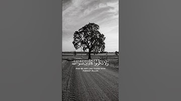 ولا تكونوا كالذين نسوا الله فأنساهم أنفسهم /الآية 19 من سورة الحشر / القارئ علي جابر
