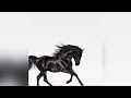 LIL NAS X OLD TOWN ROAD Version Skyrock 