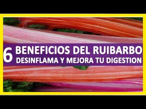 Vídeo: Ruibarbo: Propiedades Medicinales, Beneficios, Composición, Contenido Calórico, Vitaminas