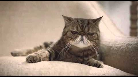 Voltaren Emulgel Forte - Apotheek Online