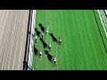 Drone Footage – Rodrigoknows Wins Race 8 on Saturday, October 3, at Santa Anita Park