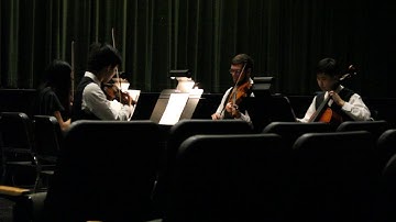 Haydn Quartet in D Minor, Opus 76, No. 2 III. Menuetto. Allegro ma non troppo