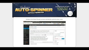 Wordpress Auto Spinner   Articles Rewriter