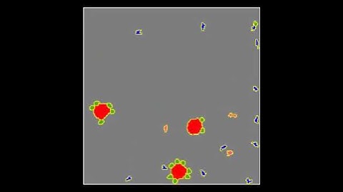 multiscale modeling: APC-T cell interactions