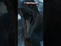 Tyrannosaurus vs Tyrannosaurus #shorts #animals #foryou
