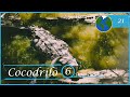 6 Datos curiosos del cocodrilo