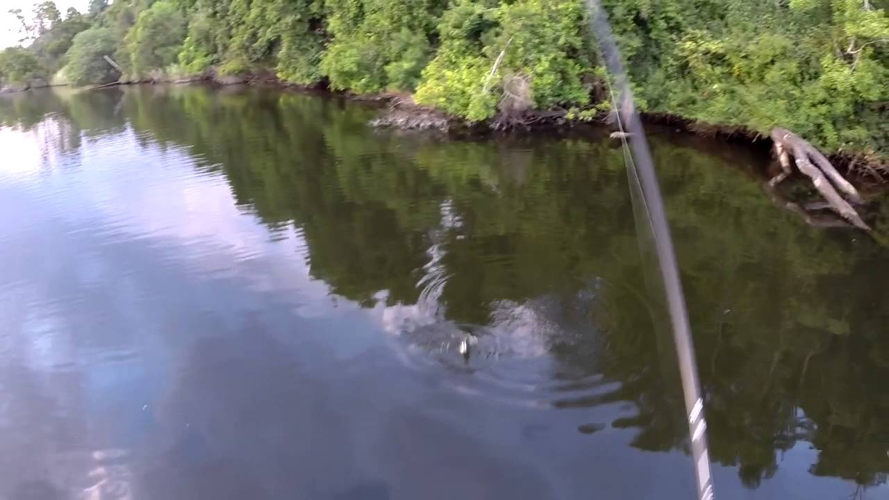 Markets In South Gippsland This Weekend Markets In South Gippsland This Weekend