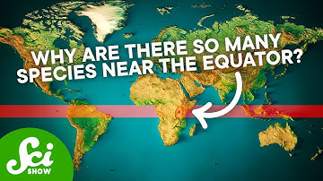 The Biggest Mysteries Science Still Hasn