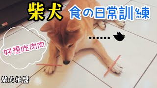 柴犬超愛的零食在眼前！魂真的都快飛了｜柴犬柚醬 醬拔頻道｜ by 柴犬柚醬 醬拔頻道 2,947 views 3 years ago 4 minutes, 21 seconds