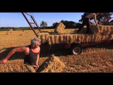 Vidéo: Un Rouleau Dans Le Foin Dans Le Nord De L'Italie - Réseau Matador