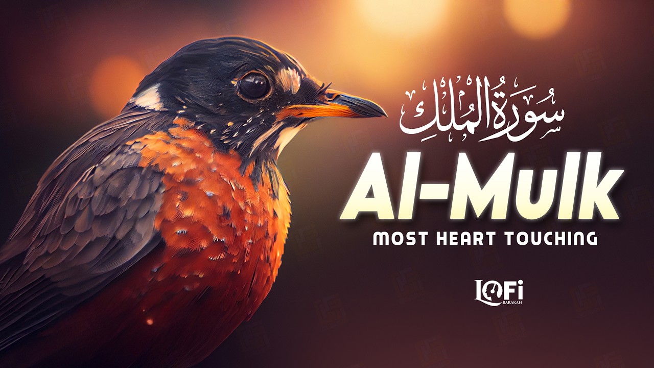 Surah Al Mulk سورة الملك | Ultimate Lofi Calm for Deep Sleep & Healing | Lofi Quran | #surahmulk