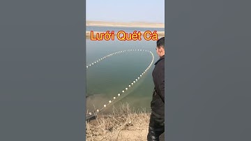 Lưới quét cá Phao tròn .Kéo Hồ, Ao, Sông, Biển. [Làm theo yêu cầu Zalo:0938.336.470 A Đẩu]