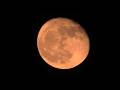 Moonrise Tonight In Crawfordville, Georgia