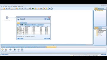 04 Set Node Parameters for Text Analysis in IBM SPSS Modeler