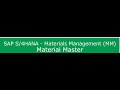 SAP S4 HANA MM Training