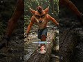 POV: Crash Bandicoot escapes the PS1 and touches grass 💀