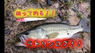 【ラトリンログ】春バスを狙う！Smithwick ADRB1200