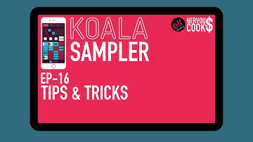 Koala Sampler Tutorial - EP 16 - General Tips & Tricks To Get Started With Sampling In Koala