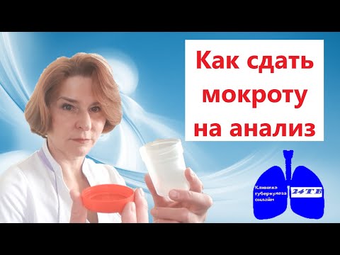 Как сдать мокроту на анализ