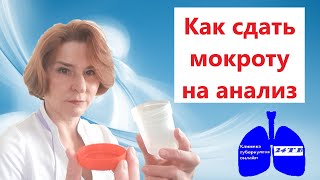 картинка: Как сдать мокроту на анализ