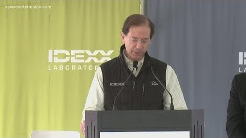IDEXX CEO partially paralyzed after accident