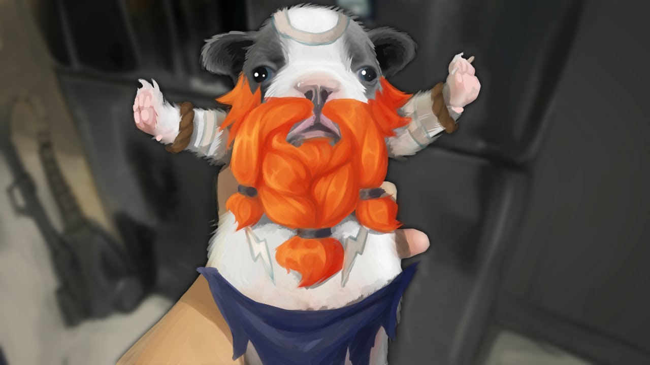 PLEASE 🥺STOP🤚 FIGHTING🐶💕