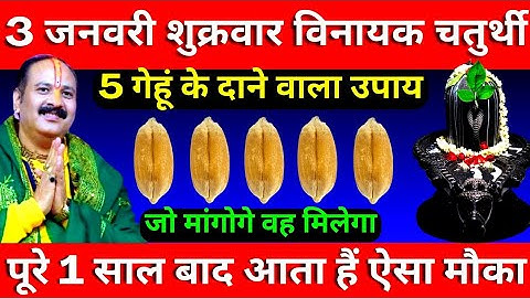 3 जनवरी शुक्रवार विनायक चतुर्थी तिथि के दिन 5 गेहूं के दाने वाला उपाय जरूर करे || Pradeep Ji Mishra