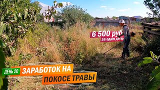 День 20 | 6 500 тыс. рублей за один день. Заработок в деревне на покосе травы триммером.