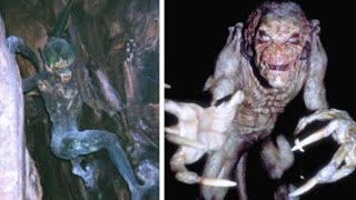 These Strange Creatures Were Locked Away for Years, Here's WHY!
