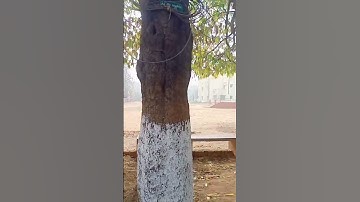 Munger University (RD.g D.J College,Munger) Munger University, Mujhe #muger #shorts