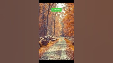 #سورة_العصر  #surah_al_asr
