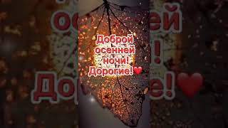 Доброй Осенней Ночи!🕯️🌜💫🍂🍁