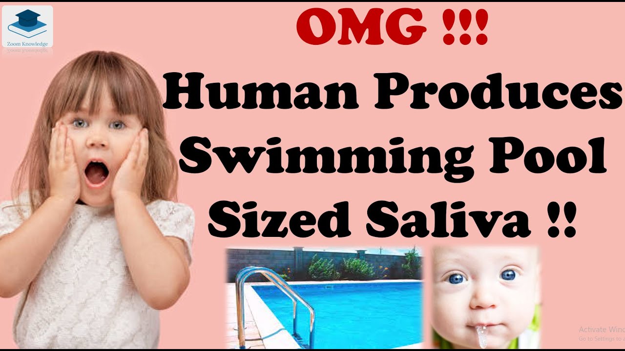 Human body Quiz Part1 Eng gk in english gk question and answer in