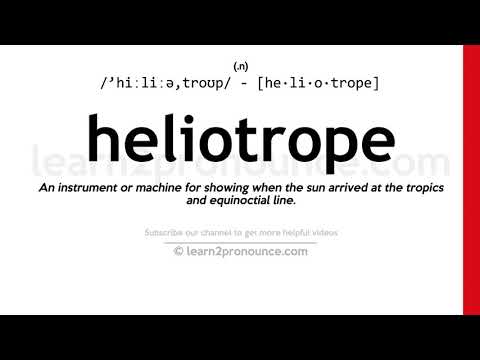 Video: Lõhnav Heliotroop