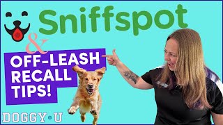 Sniffspot TOP TRAINER Adventure! Improve your OFF-LEASH RECALL + shed hunt, disc and agility! by DOGGY•U 1,452 views 8 months ago 12 minutes, 12 seconds