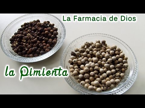 Vídeo: Pimienta Blanca: Características, Propiedades útiles