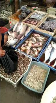 pelelangan ikan dekat pantai samudra baru, karawang