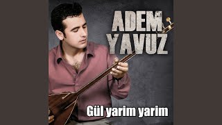 Gül Yarim Yarim