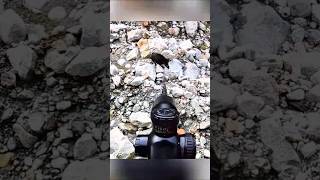 Охота на кабана: точный выстрел в лесуЭто#охотанакабана #дикаянатура #охота #кабан #охотник
