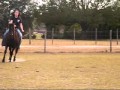 Beginner Safe Mare, For Sale, Eustis, FL Beginner Safe Mare, For Sale, Eustis, FL